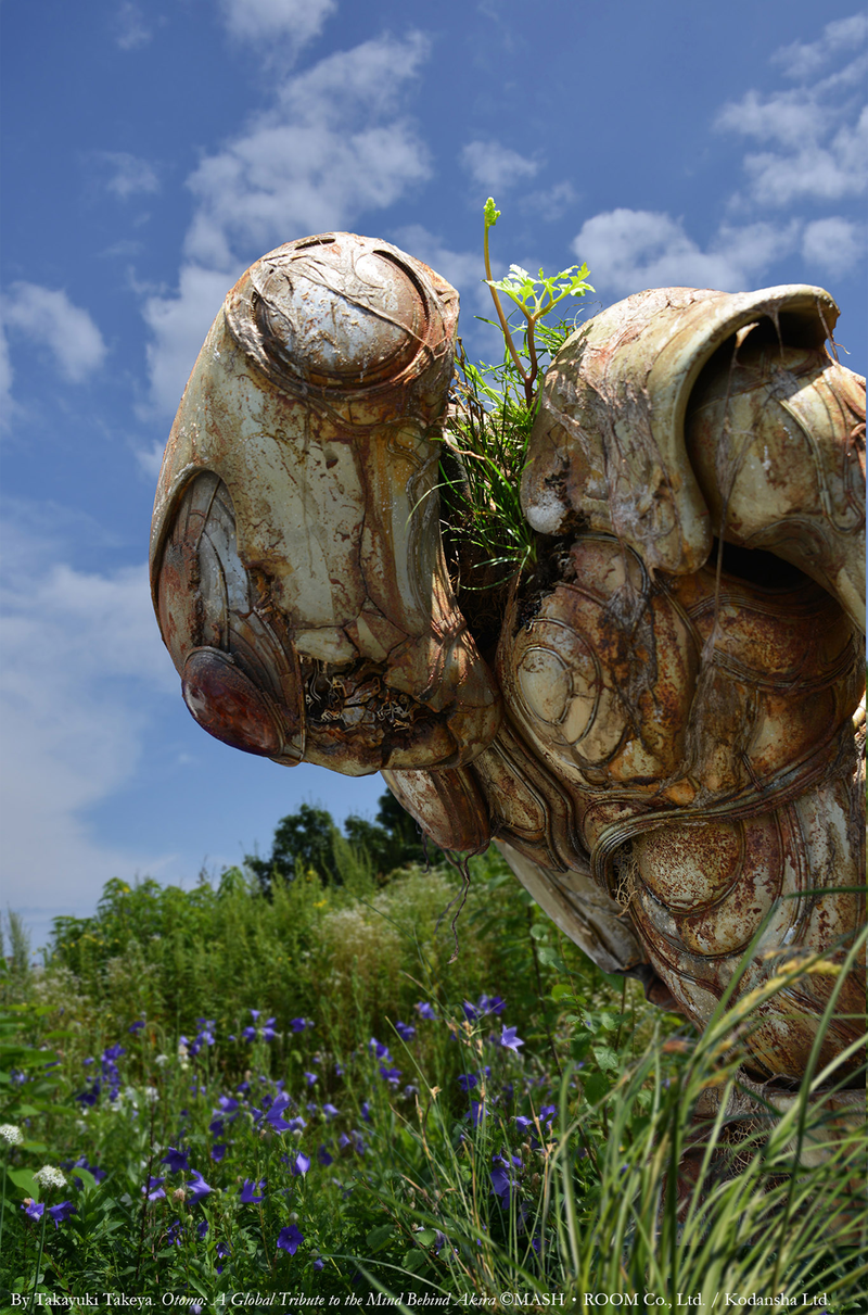 Photography and sculpture by Takayuki Takeya.